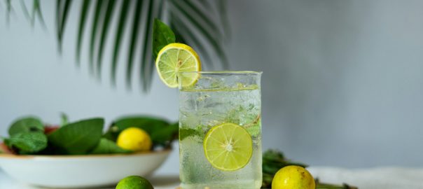 A glass of sparkling water with lime slices