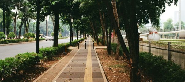 A tree-lined walking path beside a street